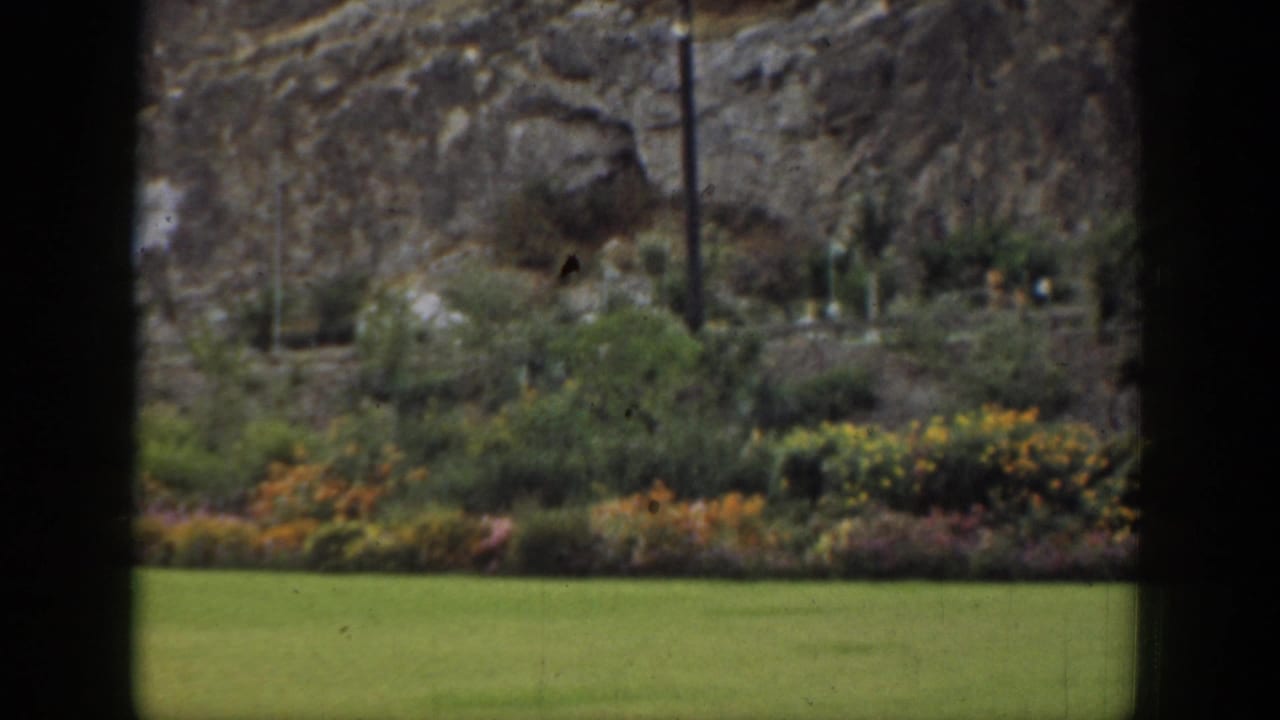 Window-framed view of lawn, flower beds, shrubs, and rocky hillside.