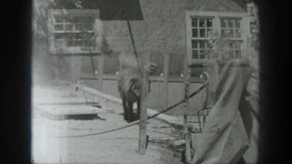 1937 California 8mm frame showing men near a rustic building while a dark animal stands or moves in the foreground area.