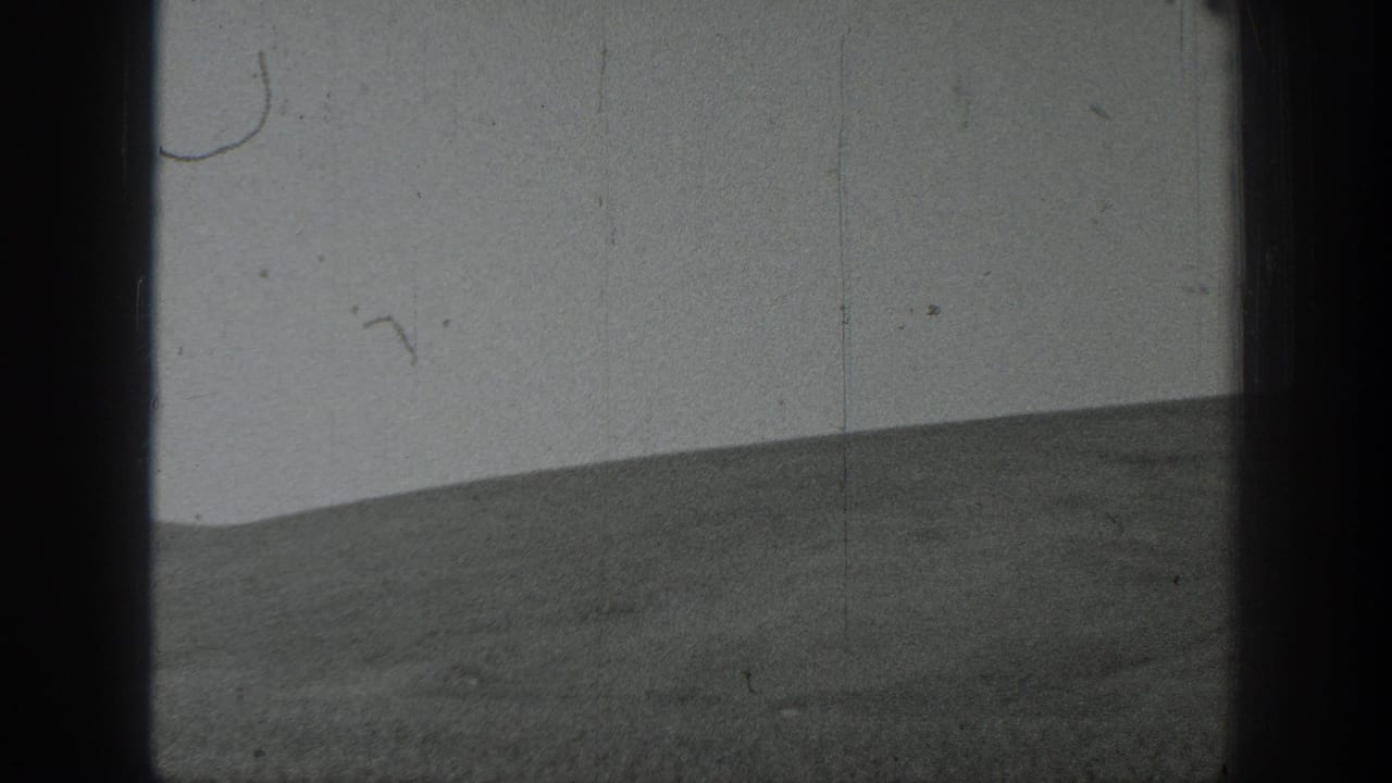 Black-and-white field view with rolling crops and no clearly visible workers.