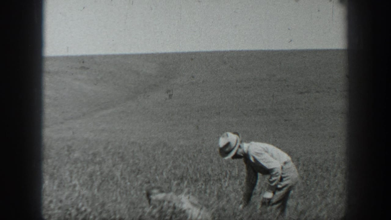 1937 California home-movie frame showing a man in light clothing and a hat bending among tall grain in an open field.