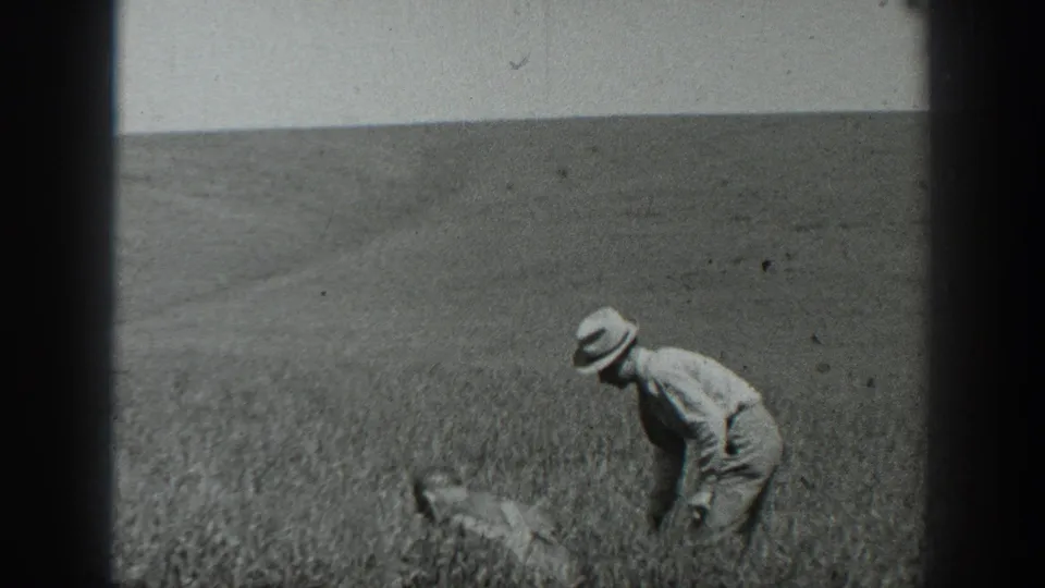 1937 California farm footage shows a man leaning in a grain field, with a small indistinct form low in the crop beside him.
