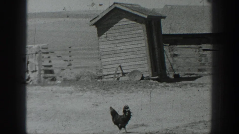 1937 California home-movie frame showing a chicken in the foreground of a rural yard with a small wooden shed behind it.