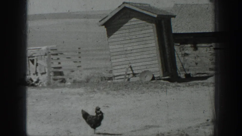1937 California rural yard scene with a chicken standing before a small wooden shed and open fields in the background.