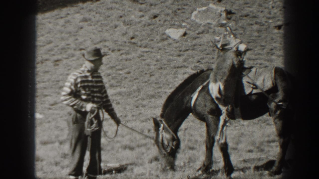 Man in a hat and striped shirt holds a rope beside a grazing pack mule on rocky ground.