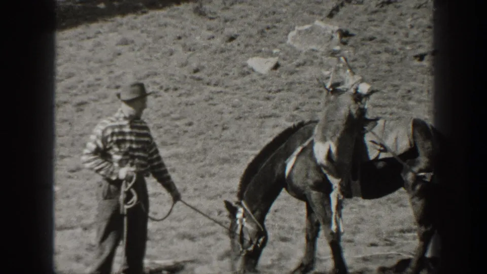 1938 California frame with a hat-wearing man holding a lead rope while a loaded mule grazes in dry open terrain.