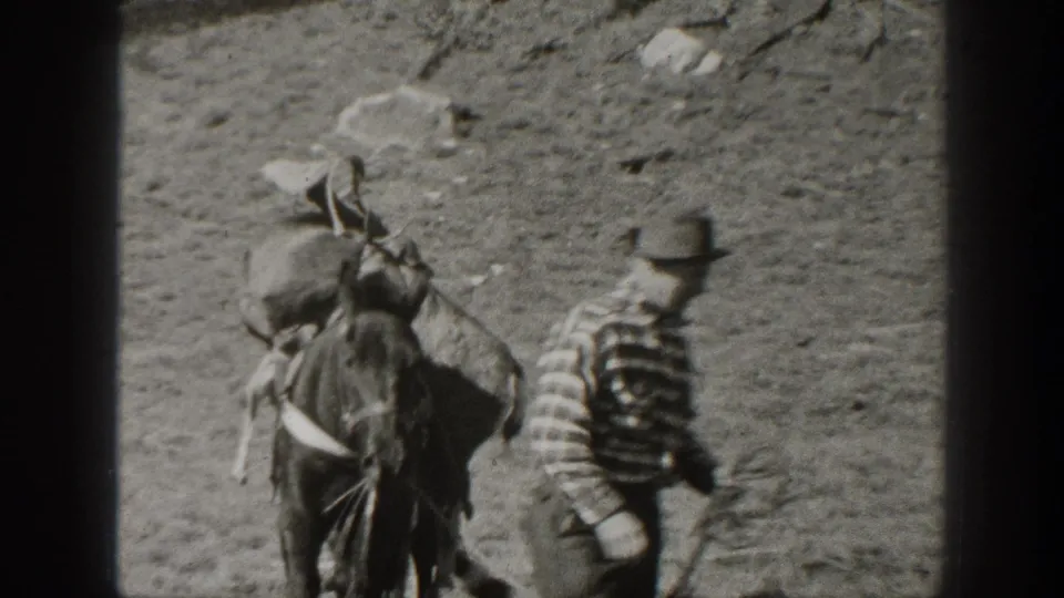 Home-movie view from 1938 California showing a loaded pack mule from behind with the handler walking beside it.