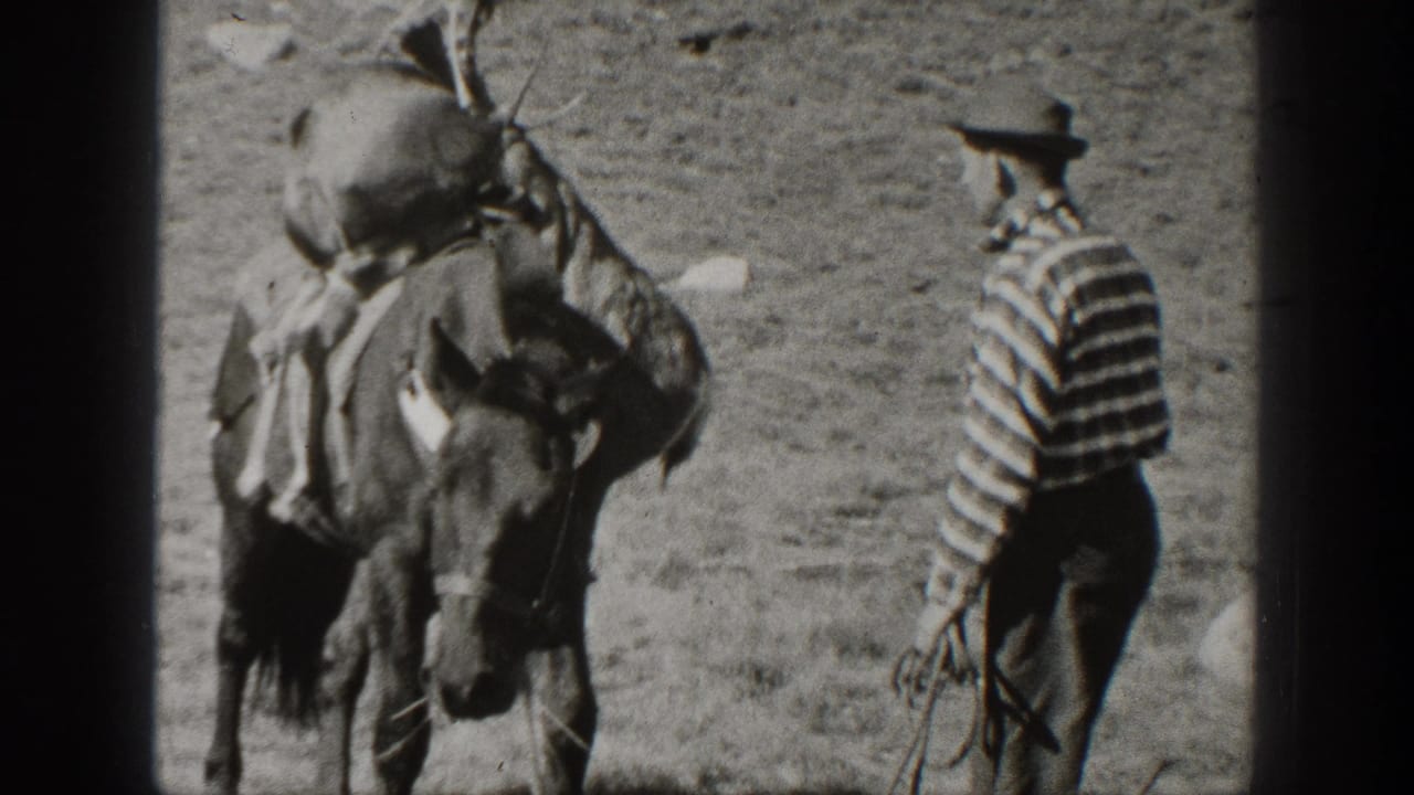 1938 California home-movie frame showing two adult men standing near a loaded mule in a wooded mountain area.