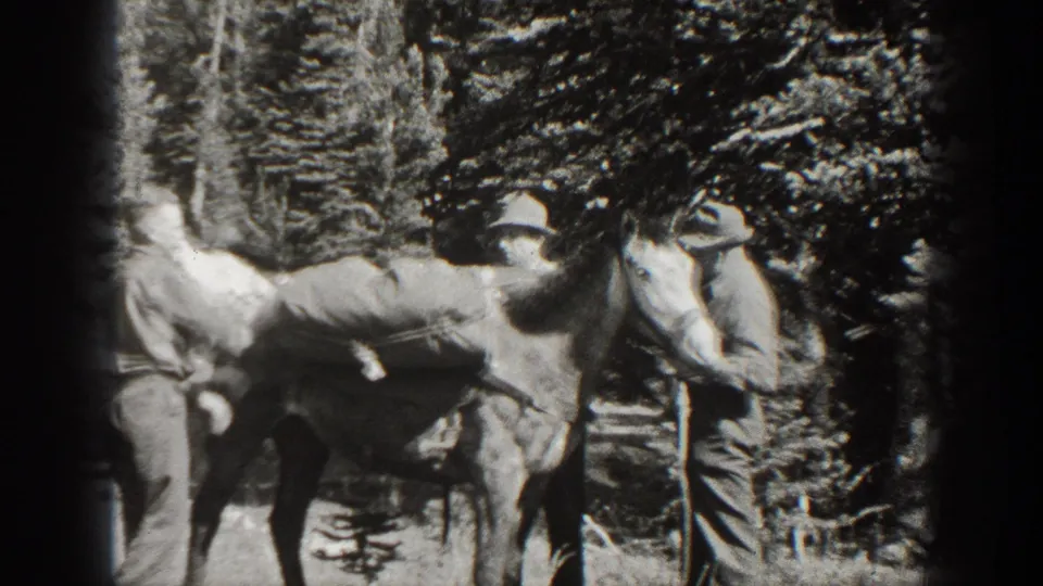 A loaded mule stands among adult men in a wooded mountain setting, with period clothing visible in the 1938 California footage.