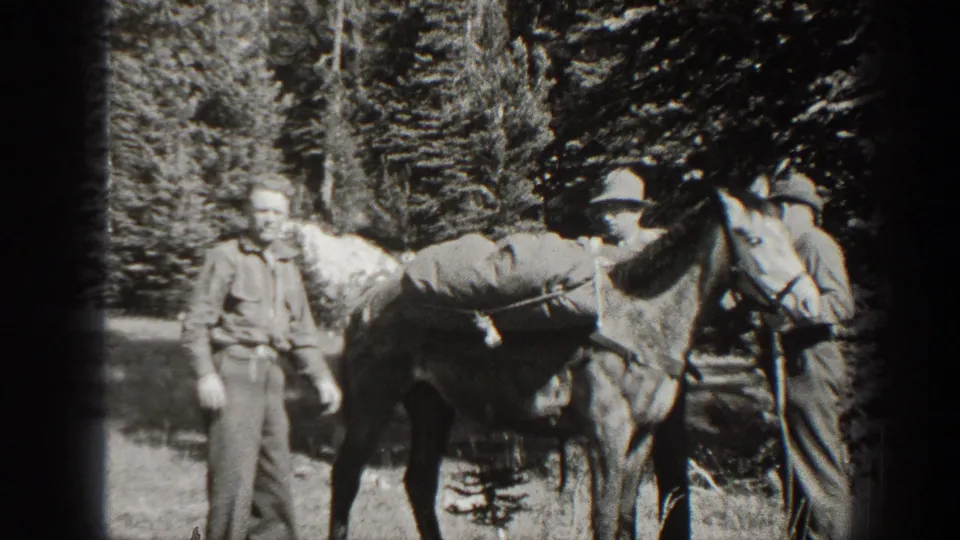 Two adult men stand with a loaded mule on a forest path in the supplied 1938 California home-movie clip.