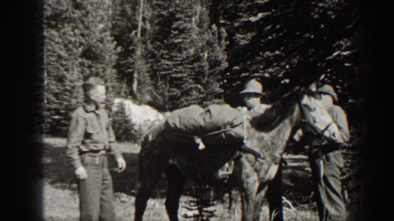 In 1938 California home-movie footage, men in work clothes stand by a horse loaded with sacks in a forest setting.