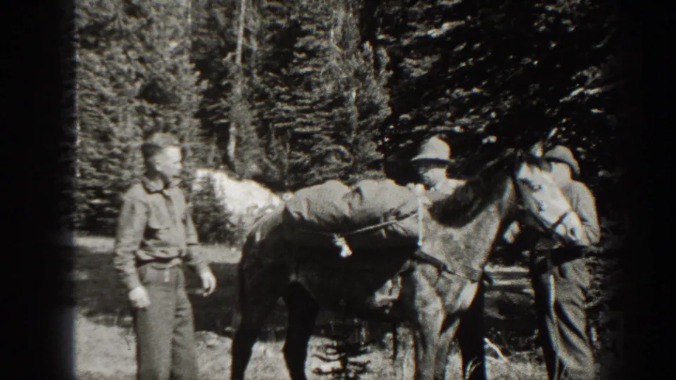 In 1938 California home-movie footage, men in work clothes stand by a horse loaded with sacks in a forest setting.
