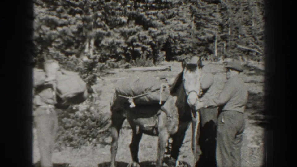 Two men appear to adjust or steady cargo on a pack horse in a wooded California setting from 1938 footage.