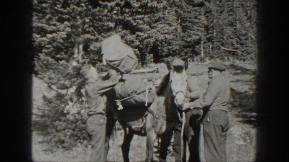 A man leans over the horse's load while another stands nearby in this 1938 California rural home-movie frame.