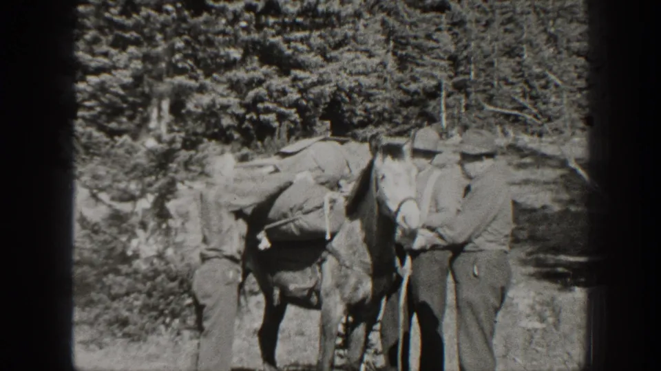 The pack horse stands between men in hats, with sacks visible across its back in 1938 California forest footage.