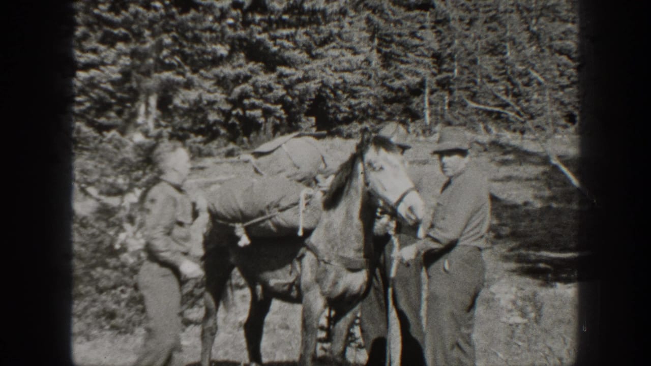 Two adult men in hats handle gear and ropes beside a pack horse in 1938 California forest footage.