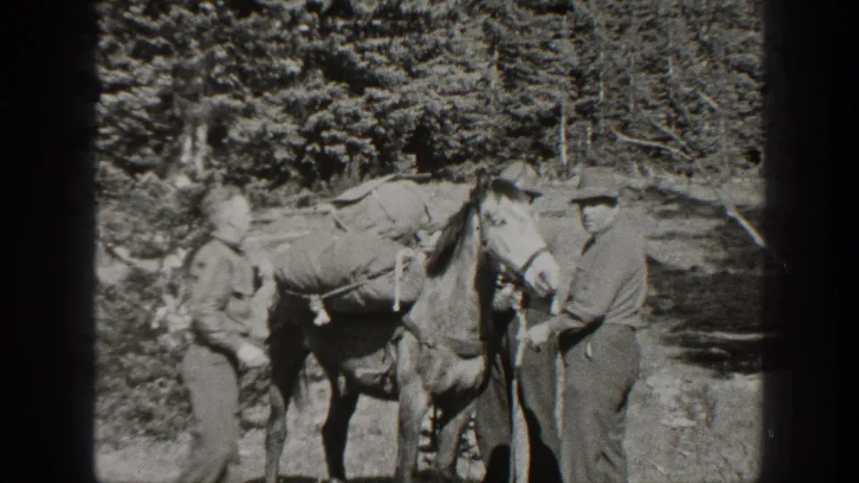 Two adult men in hats handle gear and ropes beside a pack horse in 1938 California forest footage.