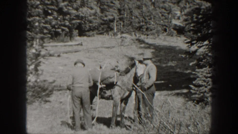In a forested California setting, two men appear to secure ropes or gear on a pack horse.