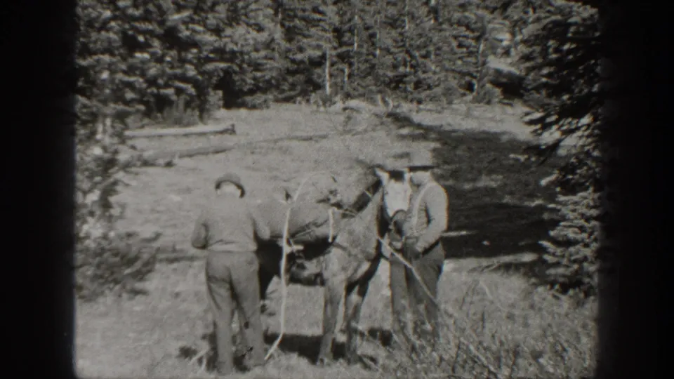 One man stands with his back to the camera while another remains by the horse's head in the wooded clearing.
