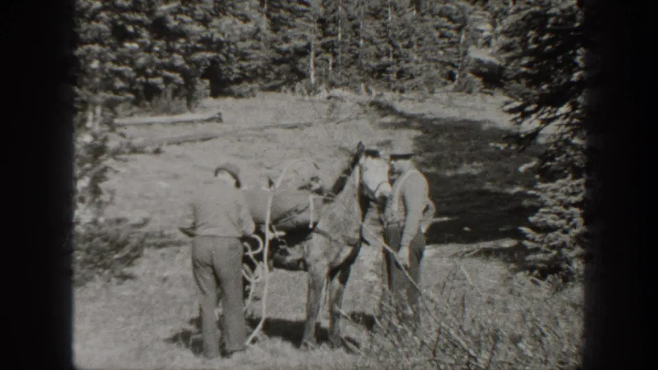 Two men remain beside a loaded pack horse among pine trees and brush in 1938 California home-movie footage.