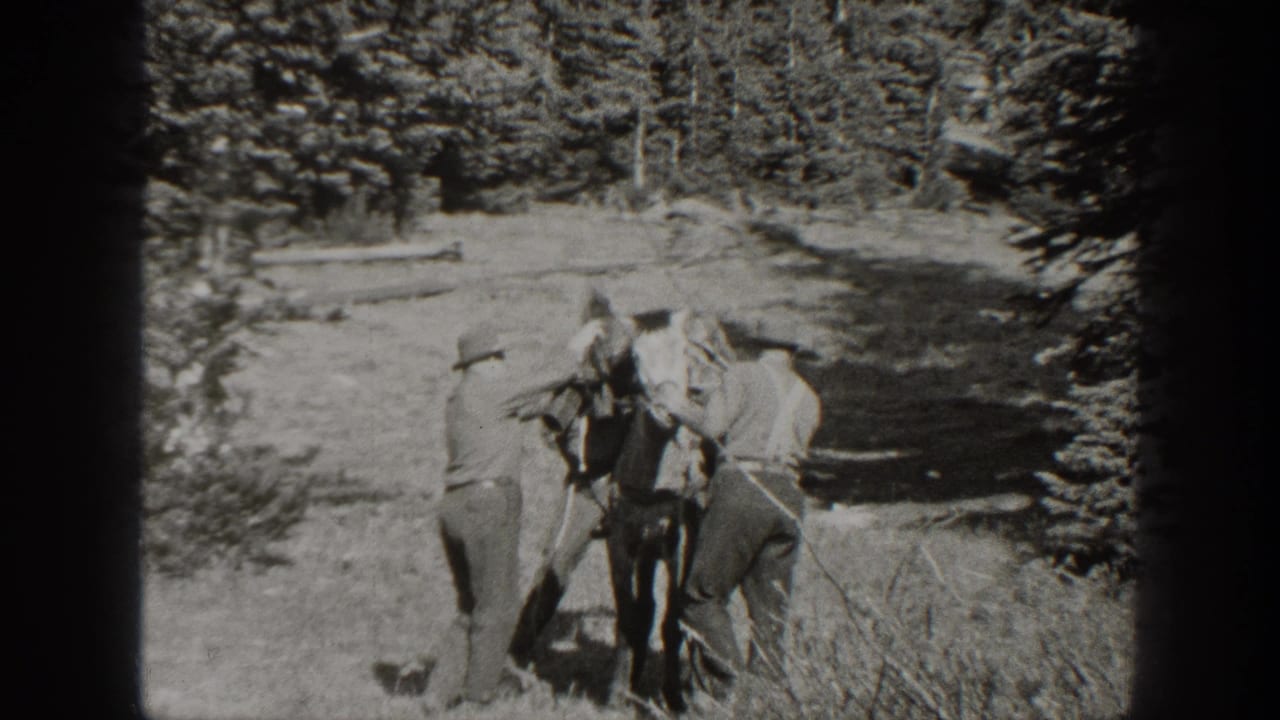 In 1938 California home-movie footage, men in work clothes appear to secure gear onto a mule among pine trees.