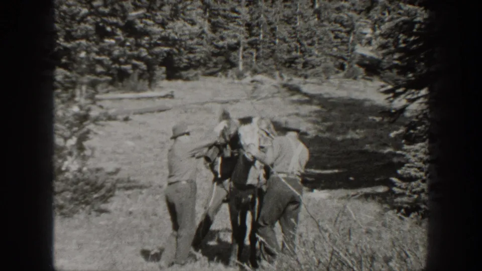 In 1938 California home-movie footage, men in work clothes appear to secure gear onto a mule among pine trees.