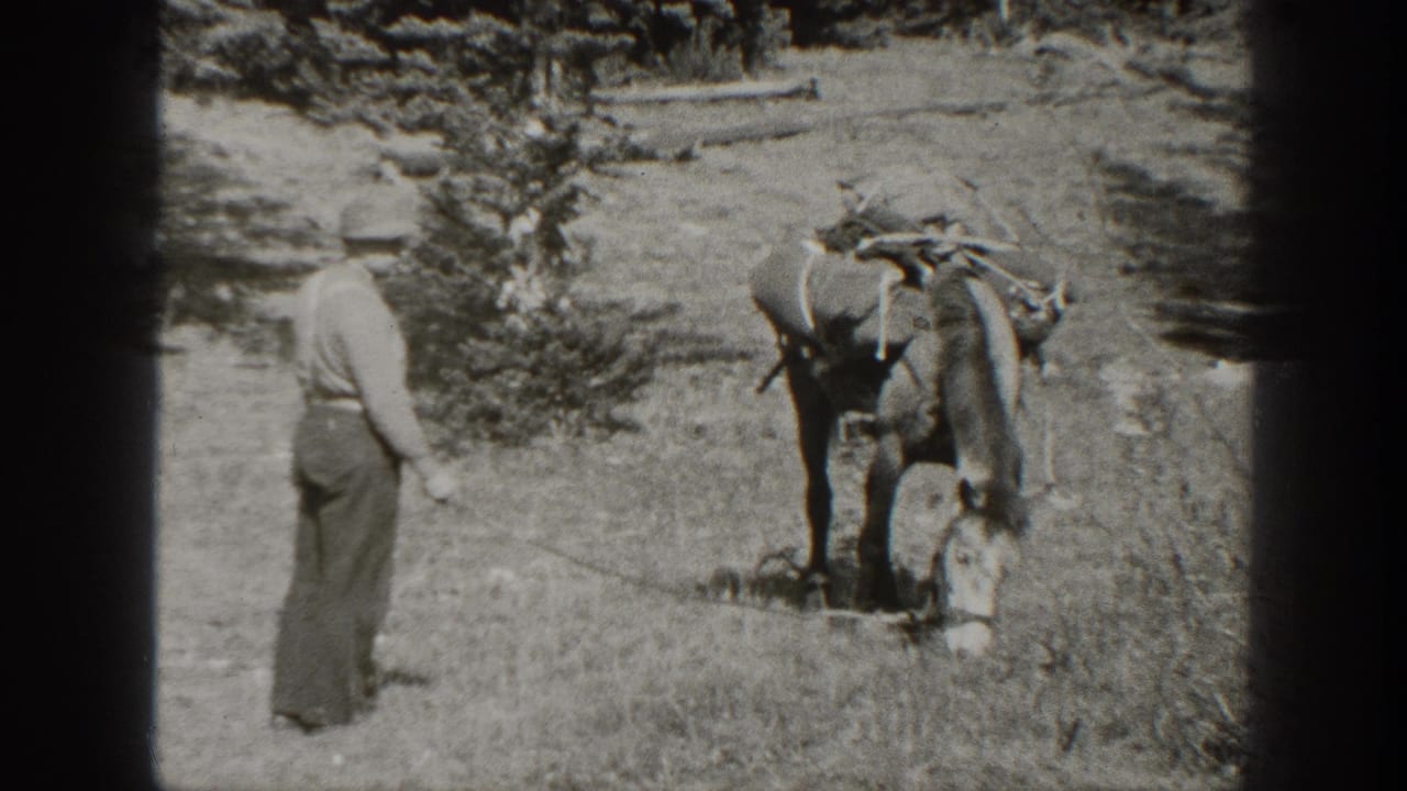 1938 California home-movie frame showing an adult man guiding a loaded donkey through a grassy mountain meadow.