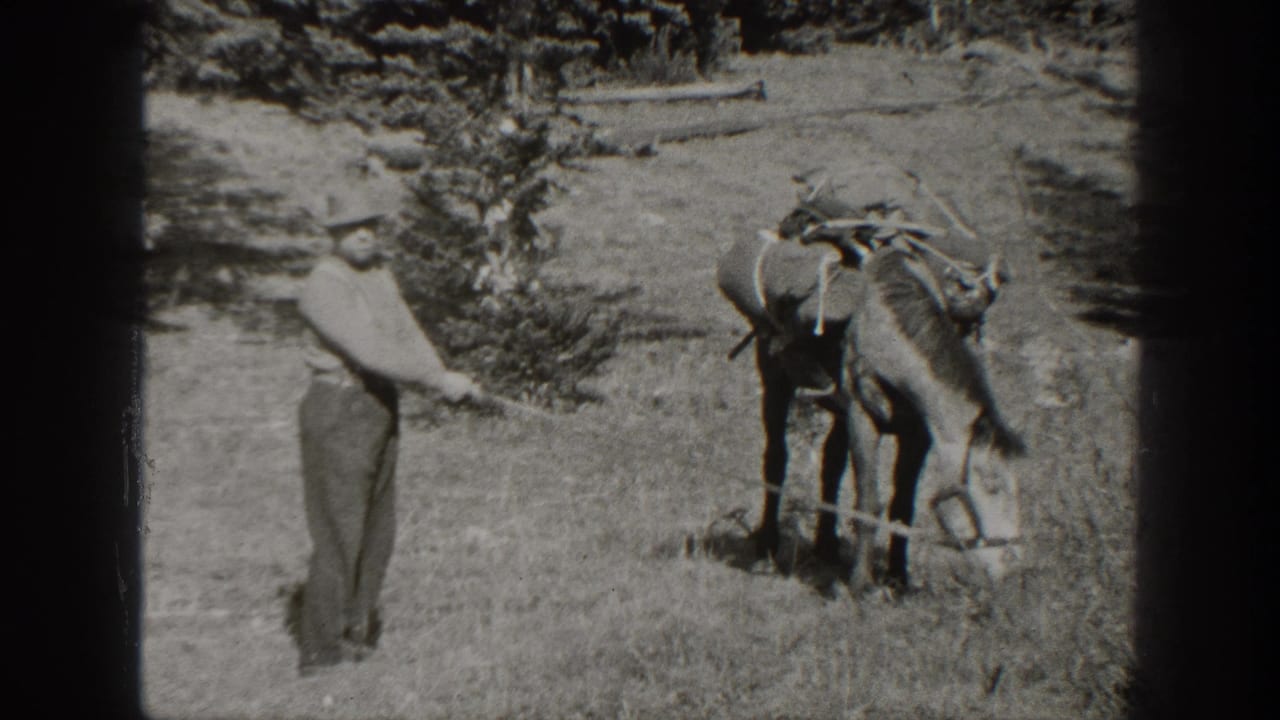 Adult man in outdoor clothing holds a rope near a saddled donkey in a California mountain meadow, 1938 metadata supported.