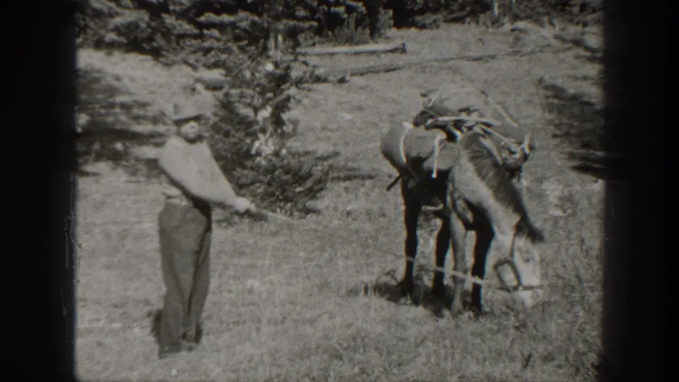 Adult man in outdoor clothing holds a rope near a saddled donkey in a California mountain meadow, 1938 metadata supported.