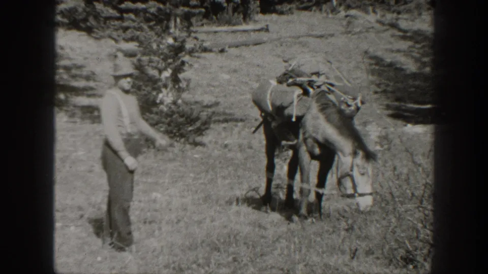 Black-and-white 8mm frame of a man and pack donkey in a grassy California mountain setting, with trees in the background.