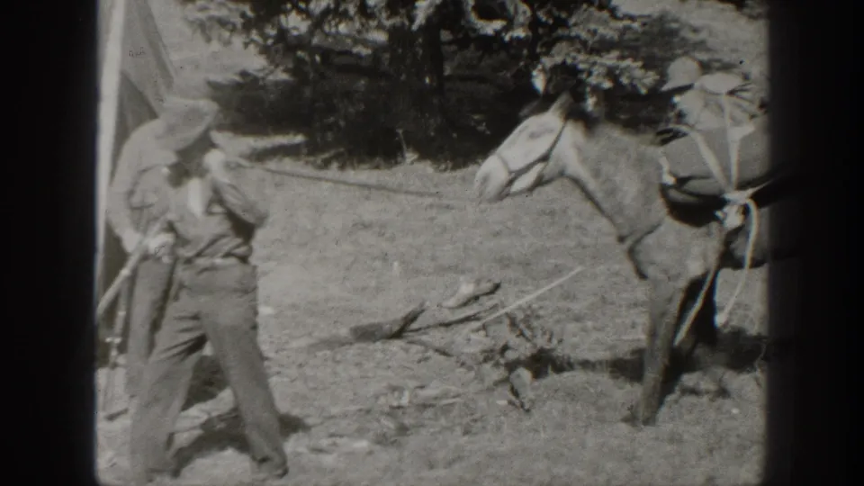 A hat-wearing man appears beside a packed mule in a wooded California camp setting, consistent with the 1938 home-movie metadata.