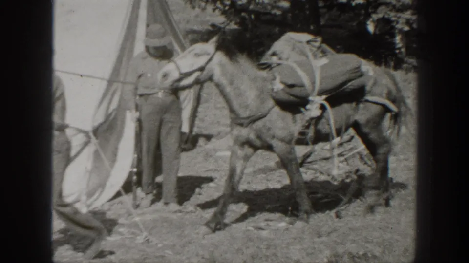 A mule with packs stands near a canvas tent in a wooded camp, with a man partly visible at the frame edge.