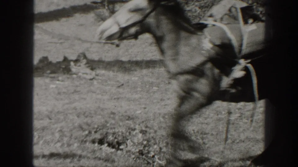 A packed mule moves across a grassy wooded camp area in black-and-white 8mm footage from the supplied 1938 California metadata.