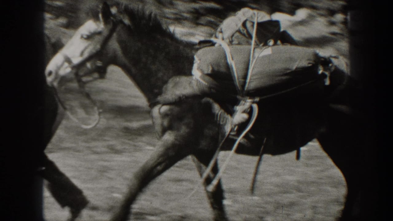 1938 California home-movie frame showing a saddled pack horse carrying supplies through a wooded area.