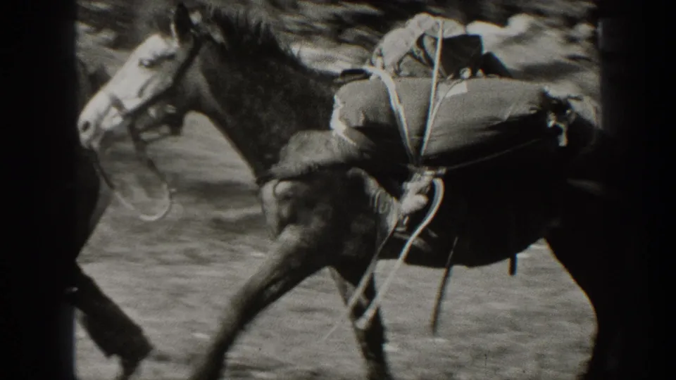 1938 California home-movie frame showing a saddled pack horse carrying supplies through a wooded area.