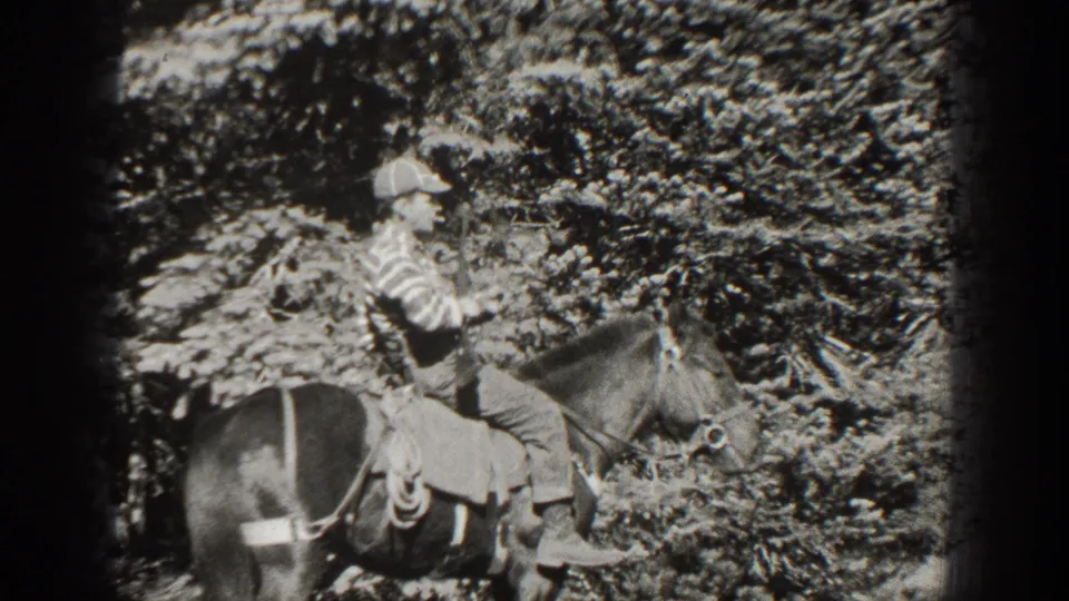 1938 California 8mm frame showing a striped-shirt rider on a saddled horse beside thick forest undergrowth.