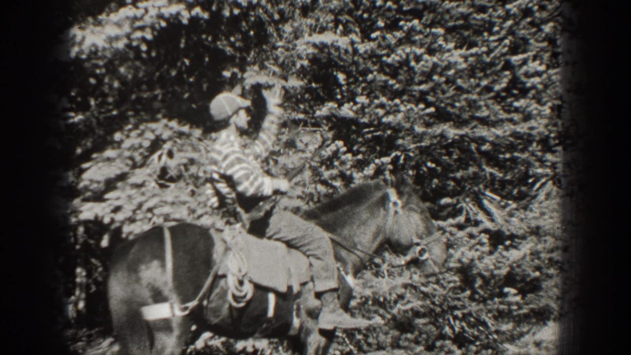Adult man in a striped shirt rides a saddled horse beside dense brush.