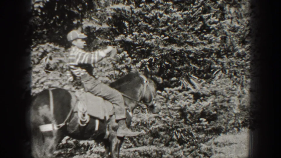 A cap-wearing rider on a saddled horse extends his arm in an informal gesture within the wooded outdoor scene.