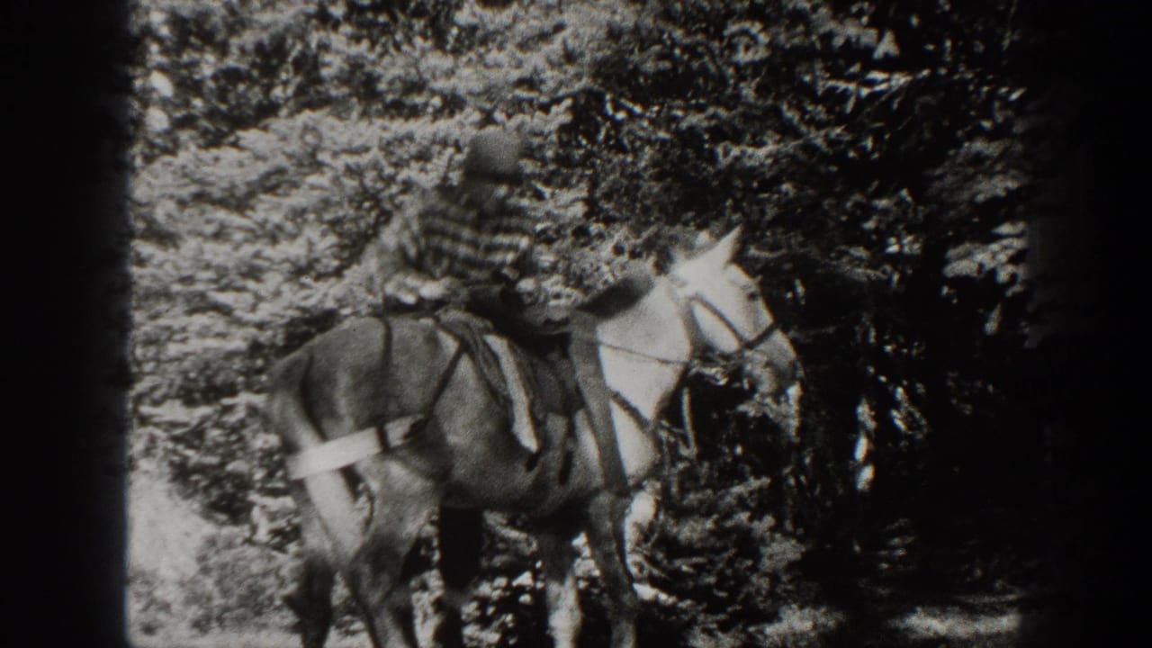 Man in striped shirt sits on a saddled horse in a wooded area.