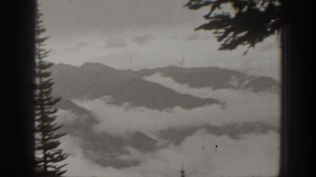 Misty mountain ridges seen past a dark window frame and conifer silhouettes.