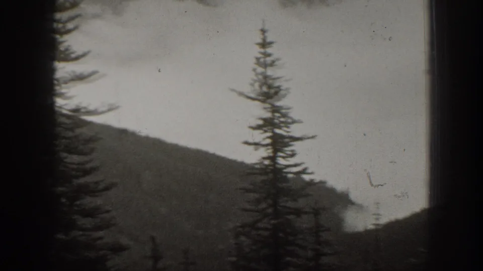 1938 California home-movie frame with a conifer in silhouette, dark ridge slopes, pale sky, and low mist beyond the foreground.