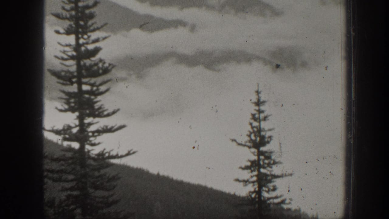 Misty mountain ridges with evergreen trees seen through dark vertical framing.