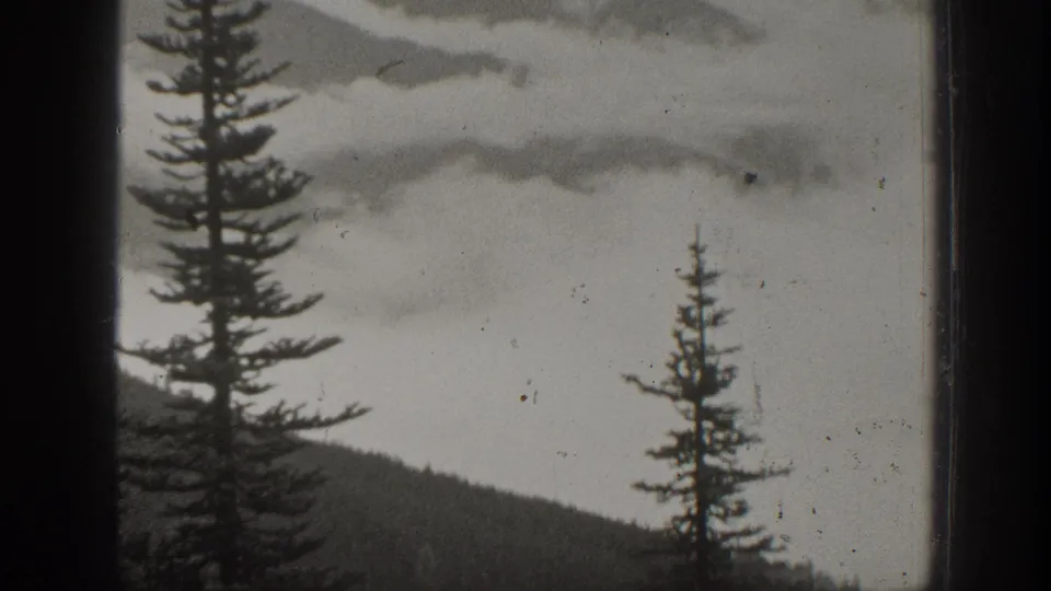 1938 California home-movie frame of mist-covered mountain ridges and tall evergreens viewed through a dark window-like frame.