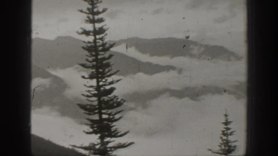 California mountain view with an evergreen foreground tree, layered fog, and dark film or window framing around the scene.