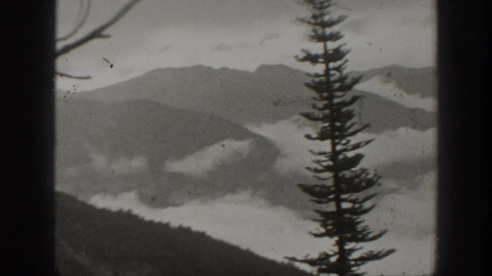 1930s home-movie view of a tall evergreen before misted mountain ridges, with heavy grain and soft monochrome exposure.