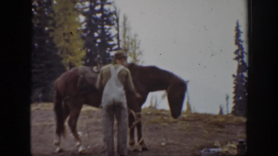 A man in white overalls handles or grooms a dark horse in a wooded California mountain setting, based on the clip metadata.