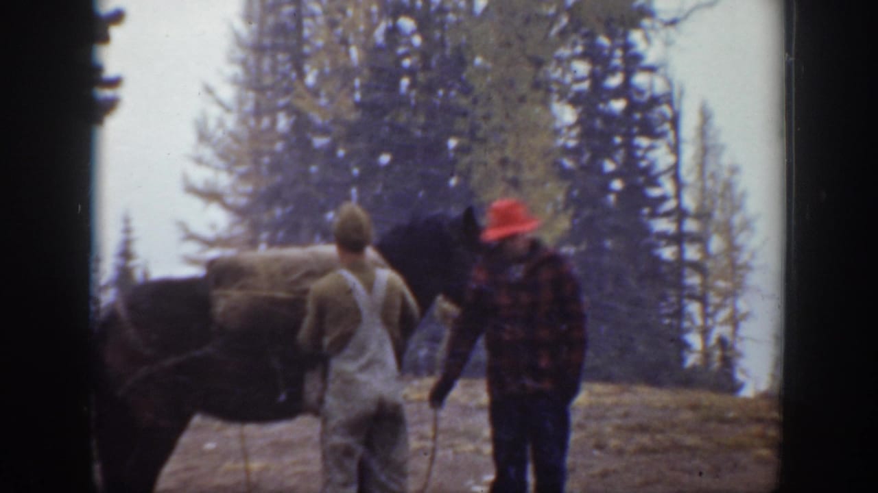 Two men stand beside a dark horse on open mountain ground with evergreen trees behind them.