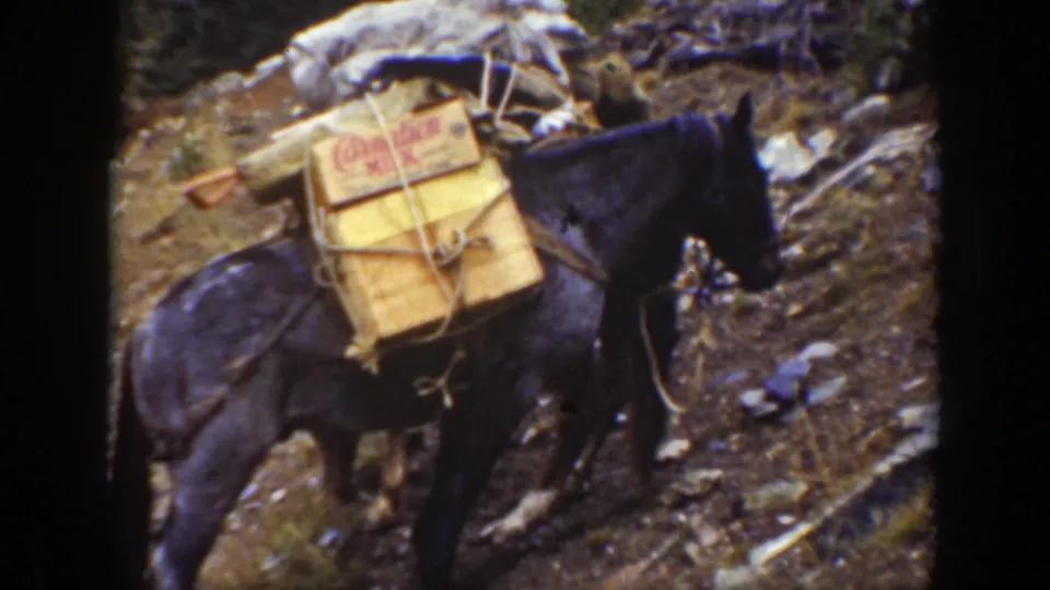 The pack horse is shown closer, carrying strapped wooden crates and gear on a rough mountain trail in California.