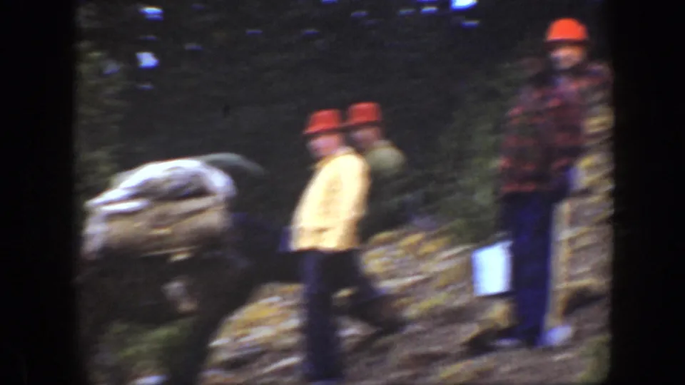 Men in red hats appear with a loaded horse or pack animal on a forested California mountain trail.