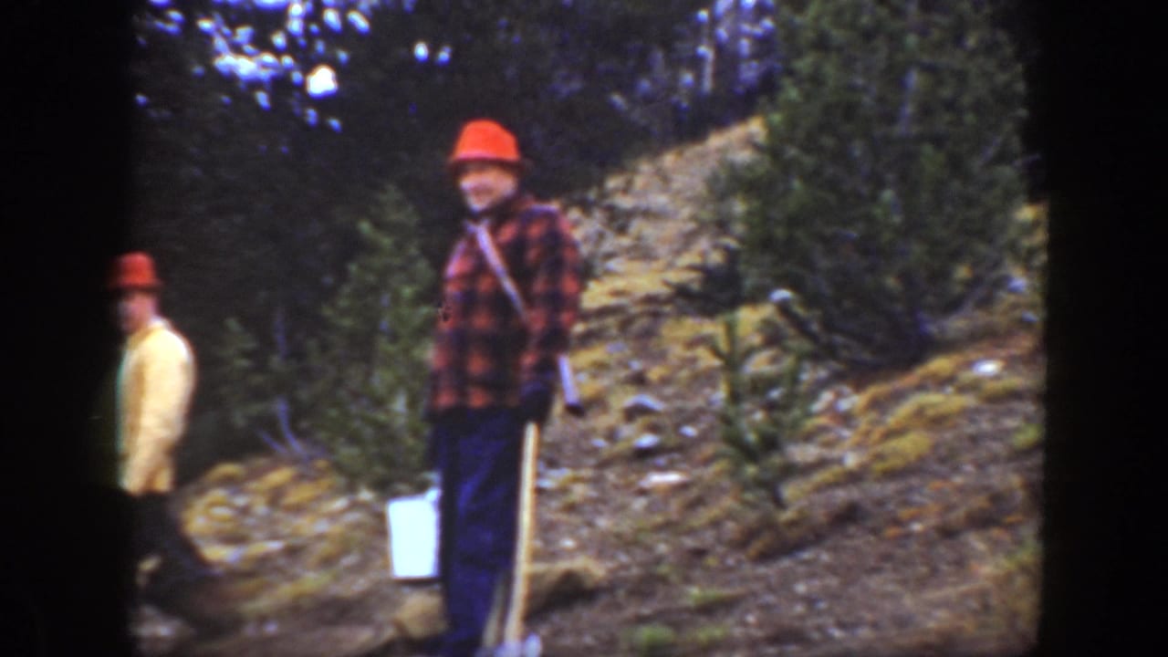 Two men in orange hats stand on a wooded hillside trail, one in a yellow jacket and one in a plaid shirt.