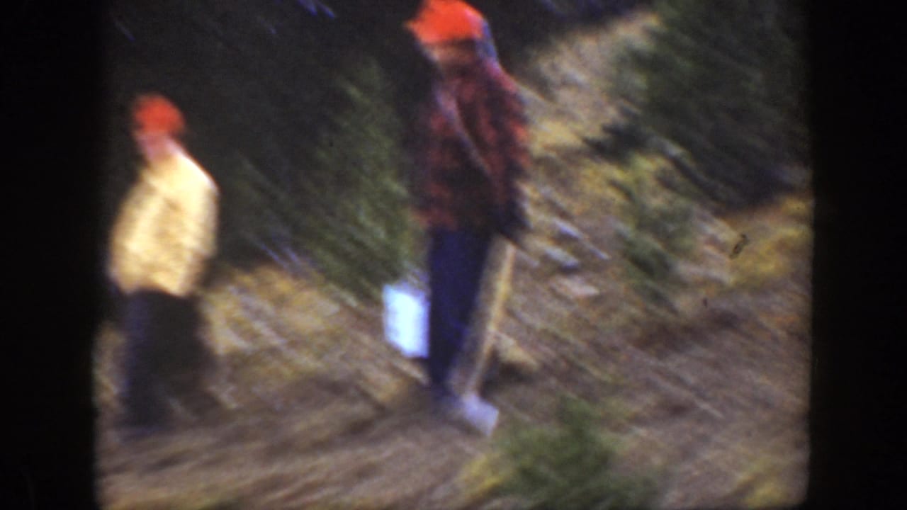 Two men in orange hats stand apart on a sloped forest trail, partly softened by motion blur.